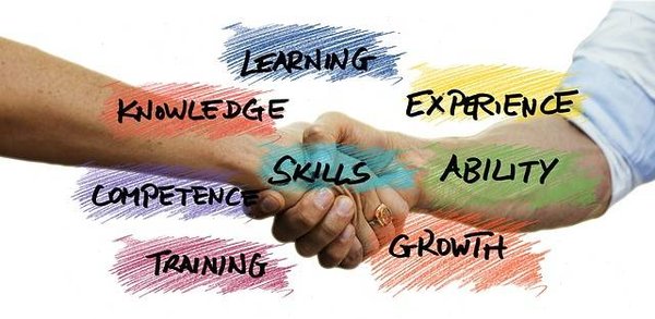 Tout ce que vous devez savoir sur les ressources de formation pour devenir un professionnel de la piscine
